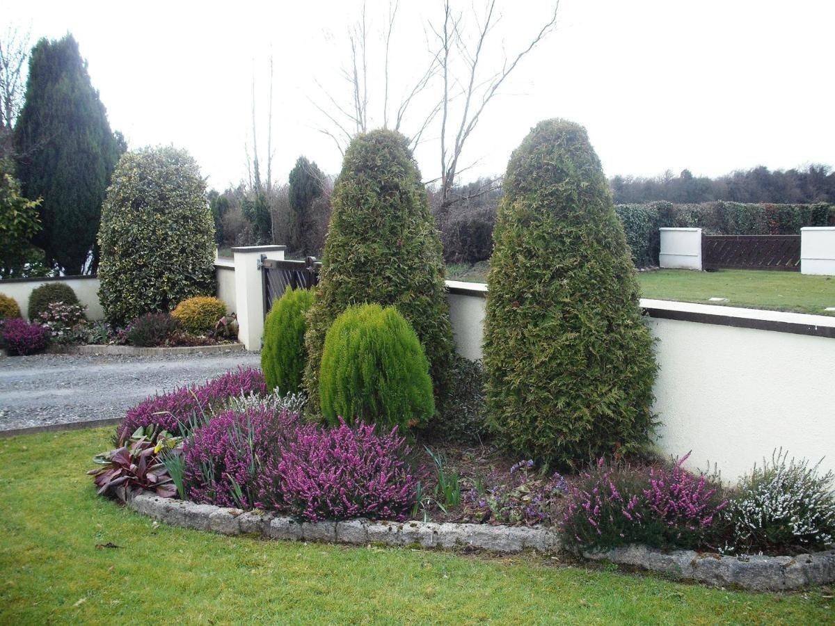 Фото  Maryville Bed and Breakfast Нина 29